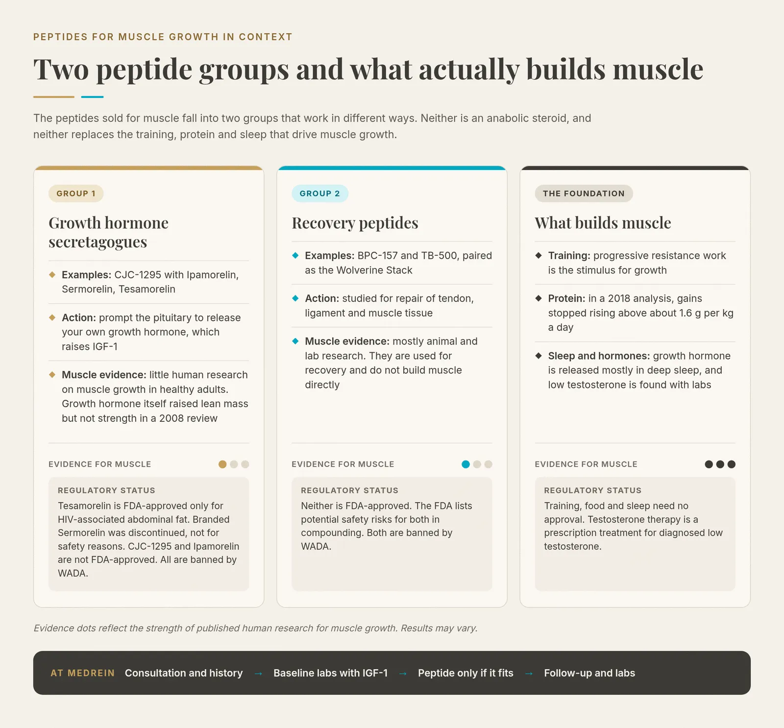 Comparison infographic of peptides for muscle growth: growth hormone secretagogues (CJC-1295 with Ipamorelin, Sermorelin, Tesamorelin) and recovery peptides (BPC-157 and TB-500) each rated one of three for human evidence on muscle, with Tesamorelin FDA-approved only for HIV-associated abdominal fat and all banned by WADA, beside the foundation of resistance training, protein up to about 1.6 g per kg a day, sleep and hormone labs rated three of three, above Medrein's pathway of consultation, baseline labs with IGF-1, a peptide only if it fits, and follow-up.